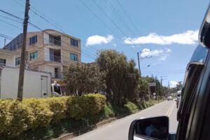 Hotel Zulima la Aduana