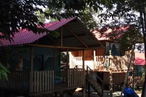 Huellas en la selva sas zomac