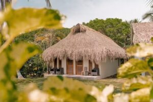 Huku Beach Hostel Palomino