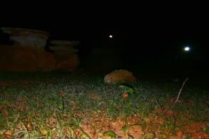 Ishoo(Hostel turismo).