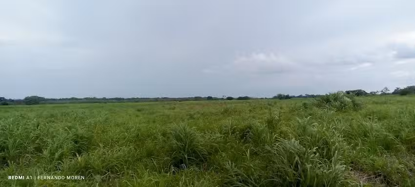 Isla valencia, san pedro de arimena