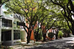 IVY Laureles Furnished Apartment Rentals Apartamentos Amoblados Medellin