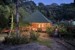Jenen&eacute; Lodge | Vista al mar y Ballenas