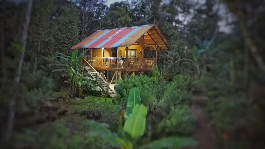 Jungle Resort Mam&aacute; Yeya Ra&iacute;ces