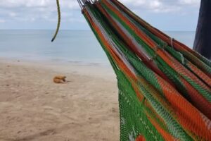 Kai Y Kashi (Sol Y Luna)