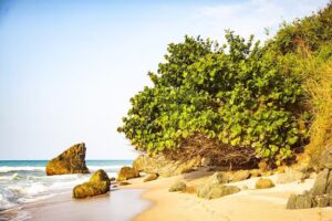 Kaira Resort Palomino