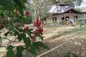 LA AURORA Casa de hu&eacute;spedes