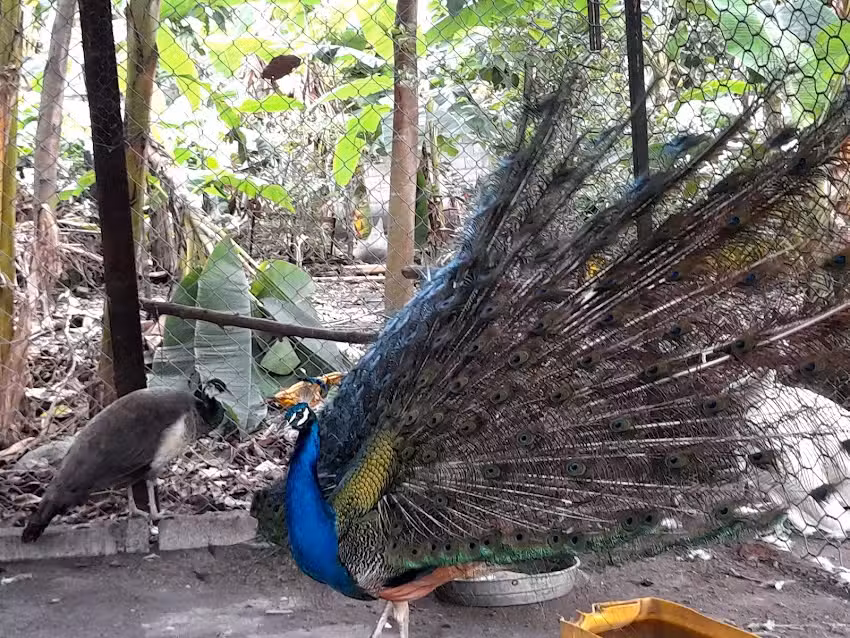 La Caba&ntilde;a De don Apostol