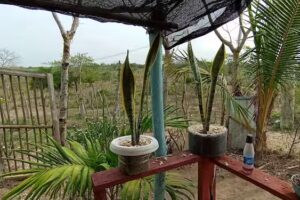 La caba&ntilde;a de Leo