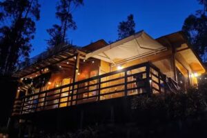 La Caba&ntilde;a Los Pinos Tiny House