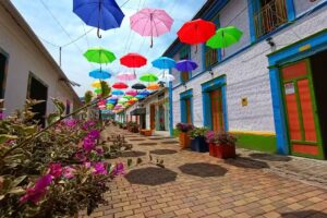 La calle de las flores arboledas