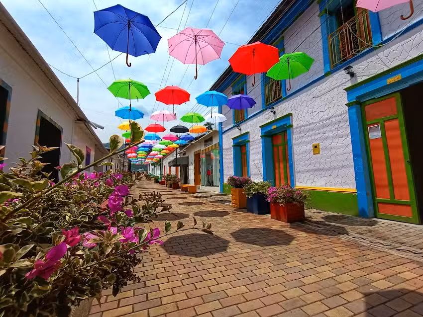La calle de las flores arboledas