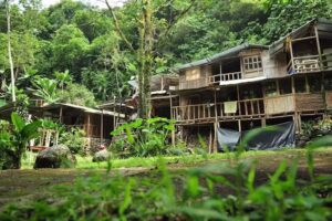 La casa de gallego hotel restaurante &Aacute;rbol d&rsquo;Agua