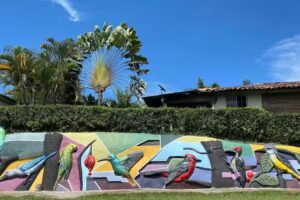 La Casa de los Pajaros