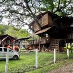 La Casa del &Aacute;rbol