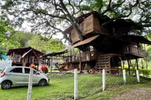 La Casa del &Aacute;rbol