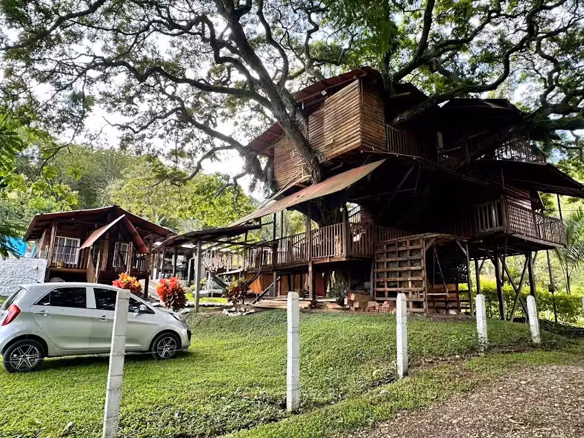 La Casa del &Aacute;rbol