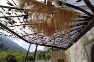 La casa del Caf&eacute;