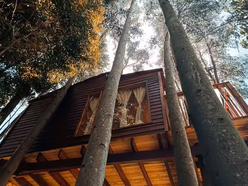 La Casa en el Arbol Guatavita
