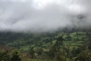 La Casita Centro de Pensamiento