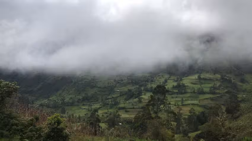 La Casita Centro de Pensamiento
