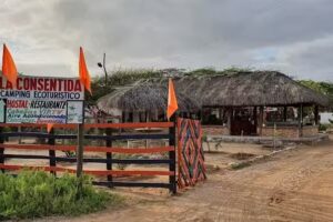 La Consentida Camping Ecoturismo