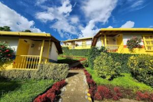 La Divina Providencia