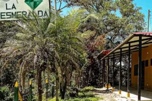 La Esmeralda &ndash; Birding