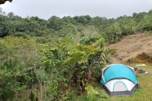 La Esperanza &ndash; EcoTurismo