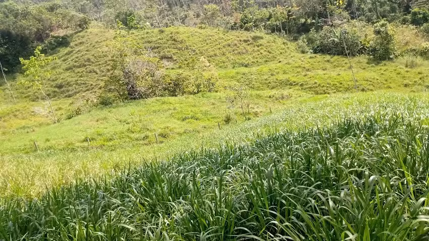 LA FINCA SAN ANTONIO