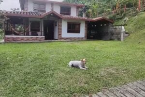 La fortuna de mi apá