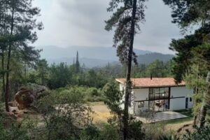 La madriguera del oso