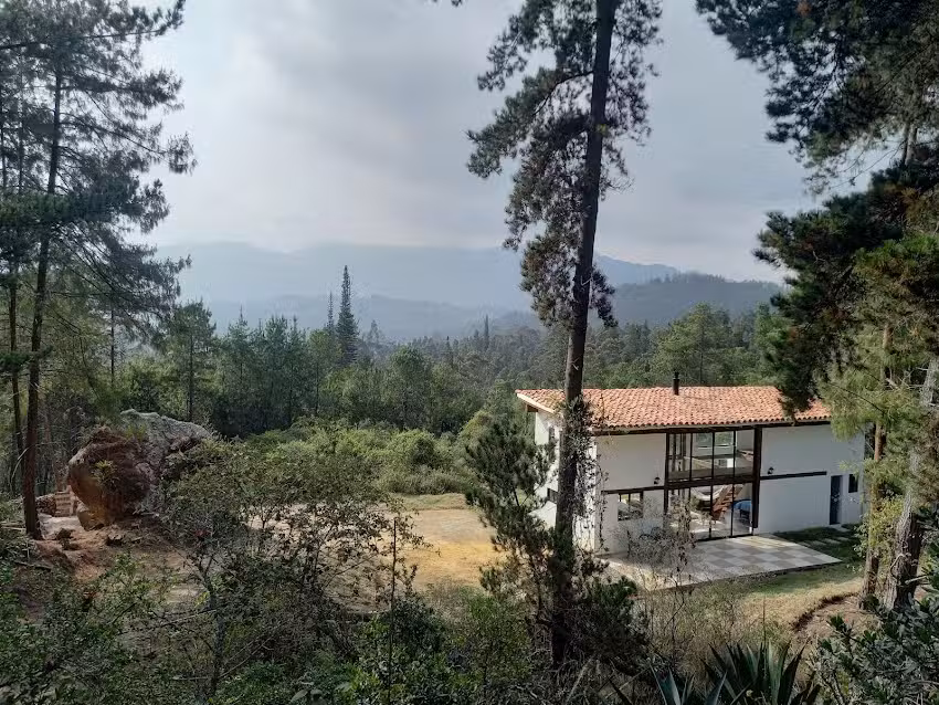 La madriguera del oso