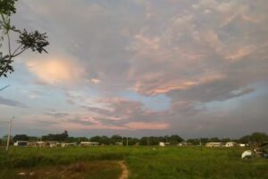 LA MILAGROSAcalle16sur