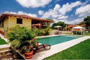 La orquídea campestre