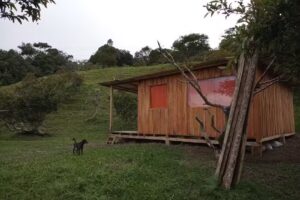 La Palma de Tatam&aacute; RN