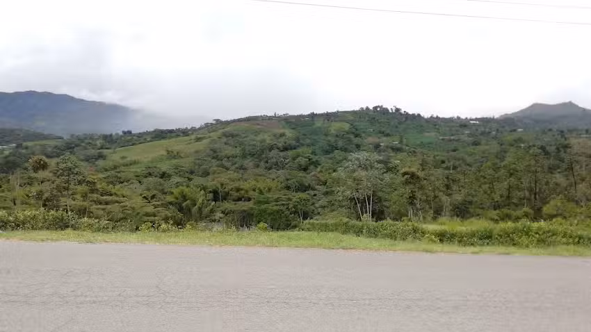 La Prima