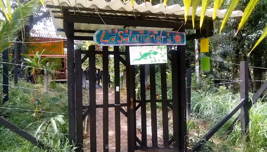 La salamandra ladrilleros