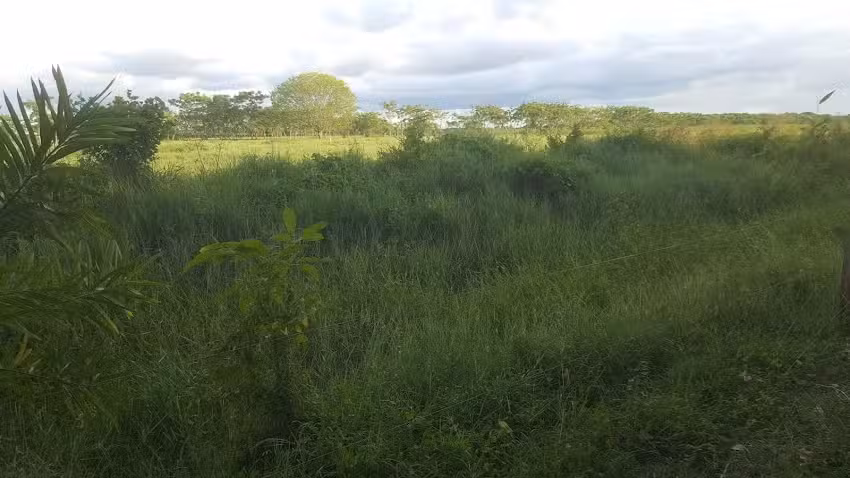 La Sira : Punta Verde.