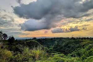 La Siria circasia Quindio