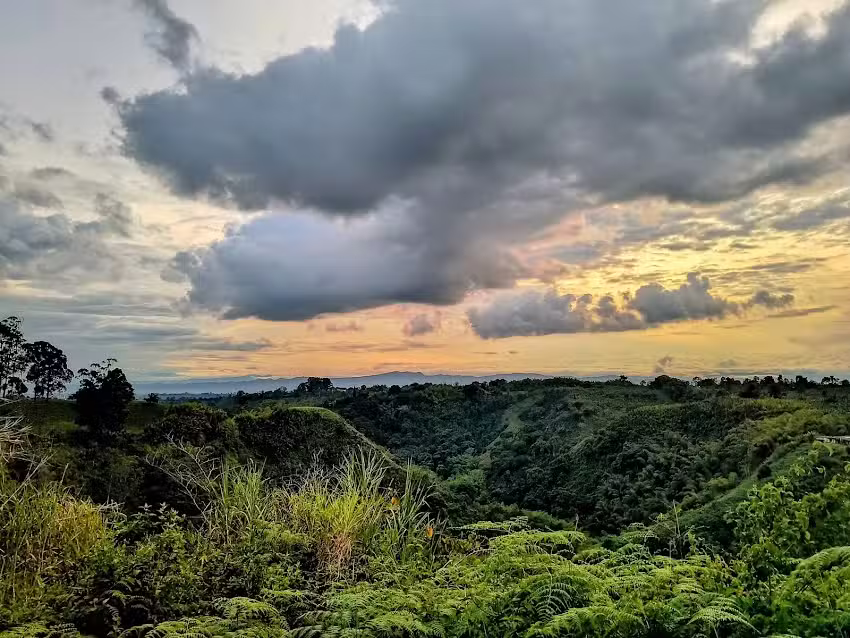 La Siria circasia Quindio