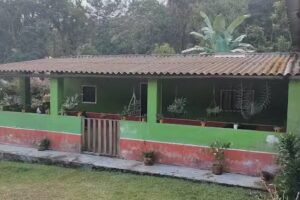 La Terraza la Tamarana