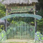 La Tribu