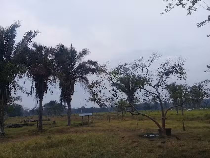 La Y Ca&ntilde;o Azul