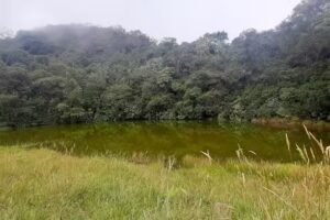Laguna el Guambial
