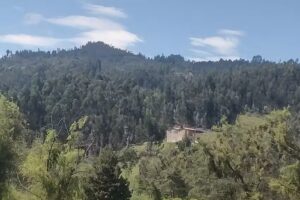 Landhouse la Quincharita