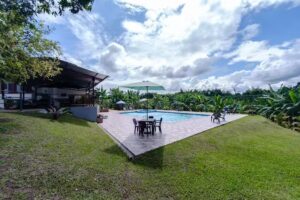 Las Betulias del Café