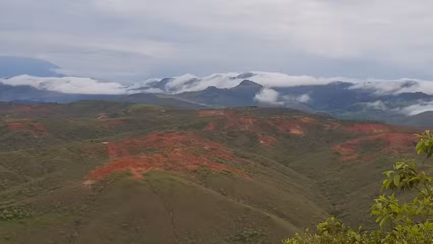 Las Brisas potrerillo