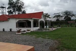 Las Golondrinas