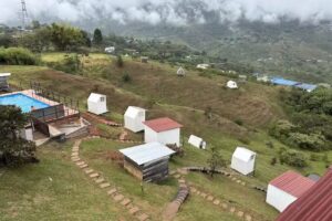 Las Hamacas Exoticus